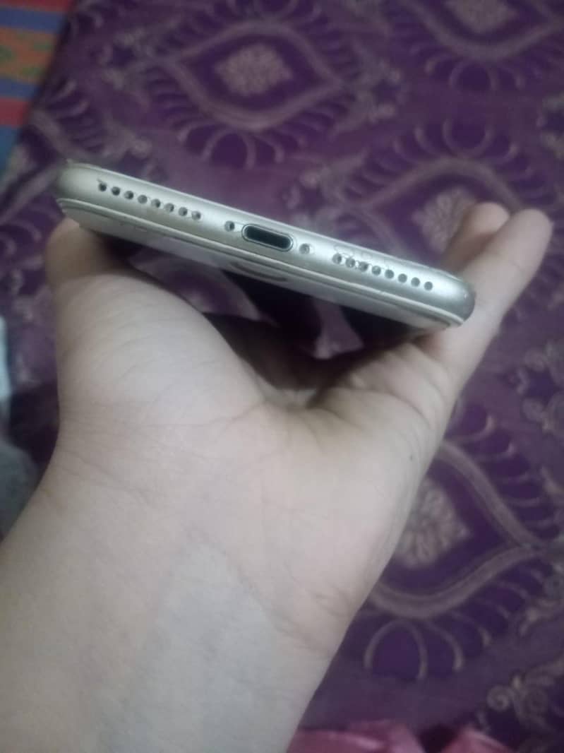 Apple iPhone 7 Plus 1