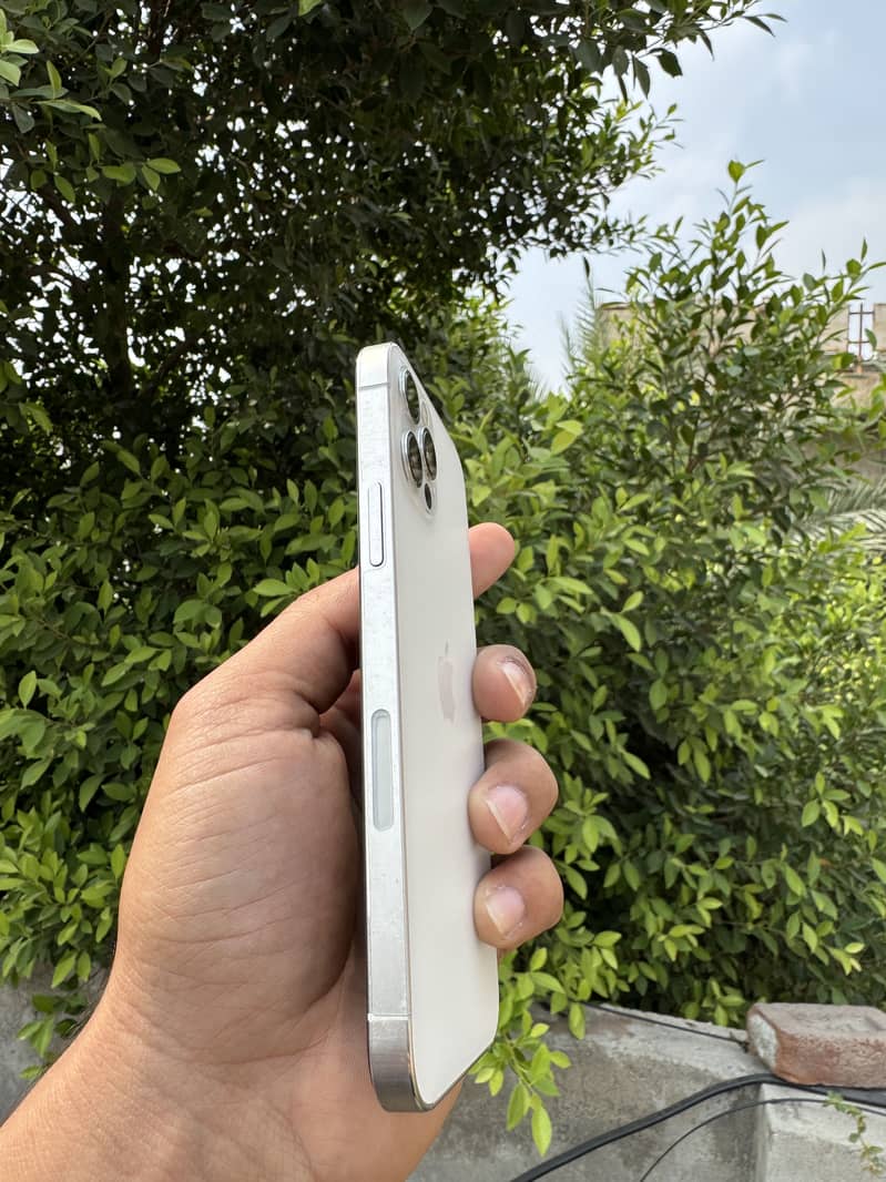 12 pro 2