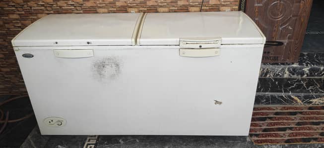 Waves double door deep freezer