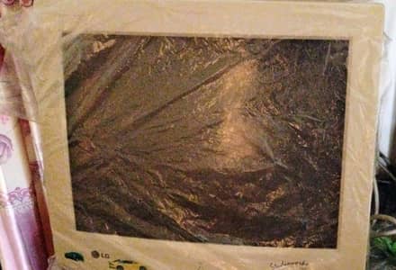 LG 17" CRT Monitor – Working – Lines on Screen