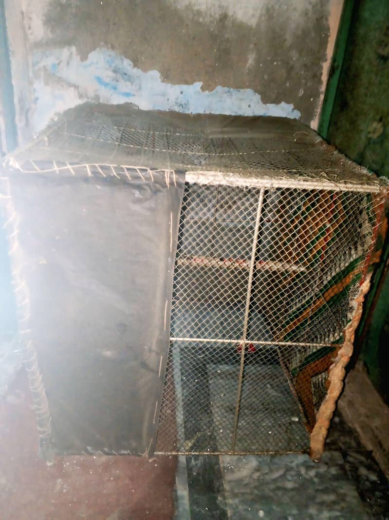 Cage storage 1