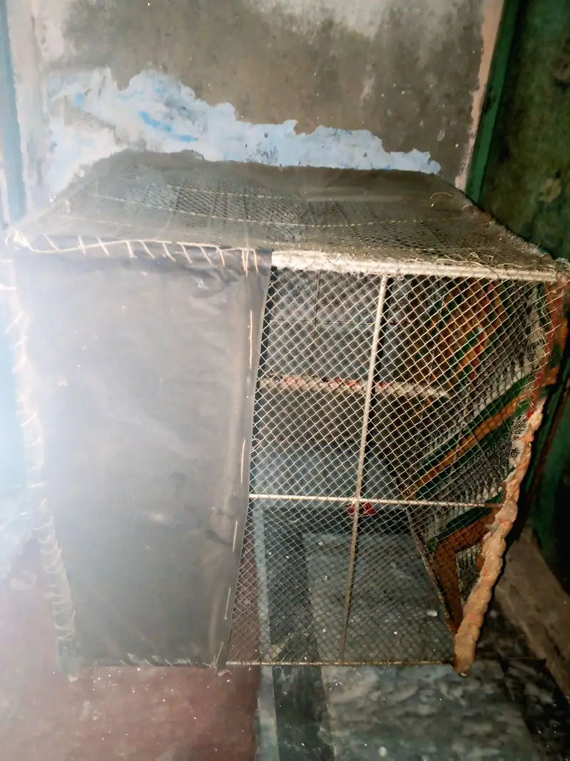 Cage storage — photo 2