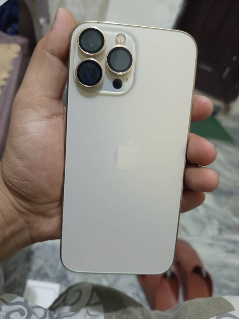 Apple iPhone 13 Pro Max 1