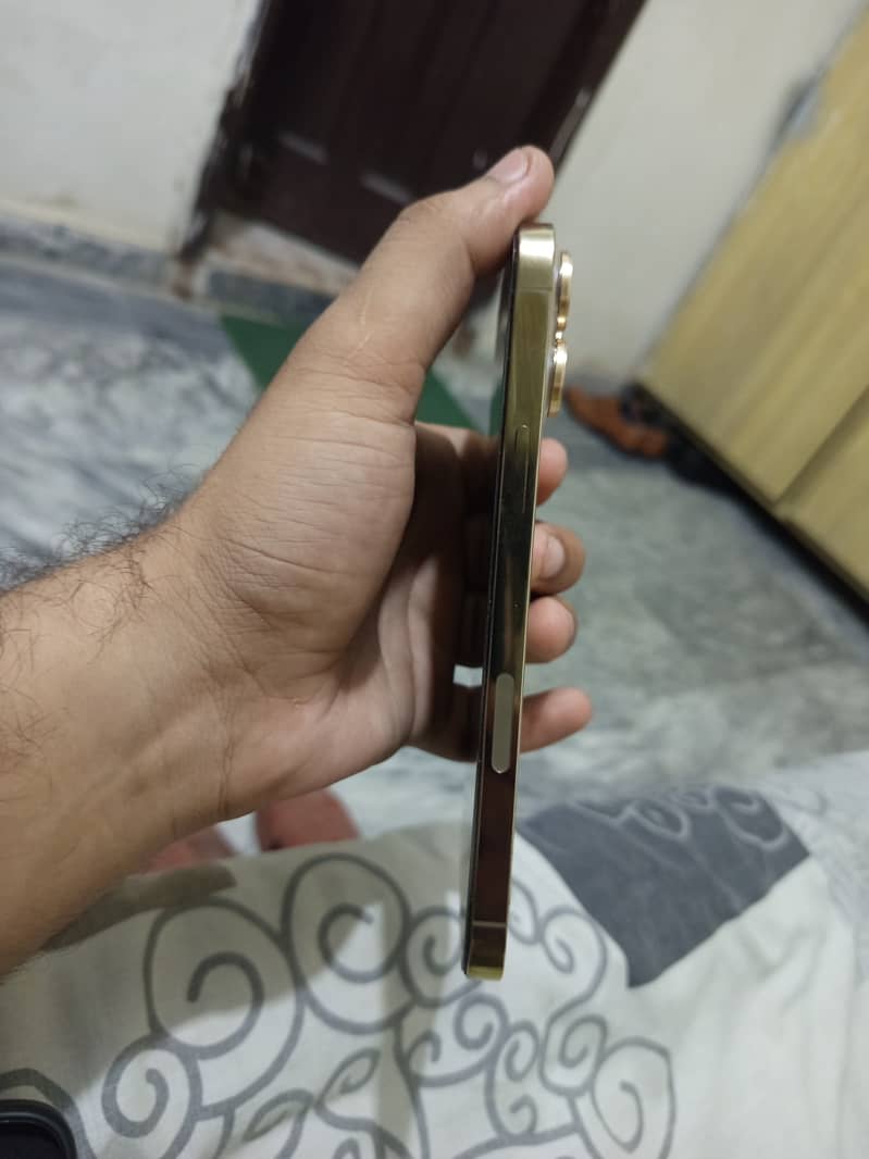 Apple iPhone 13 Pro Max 2