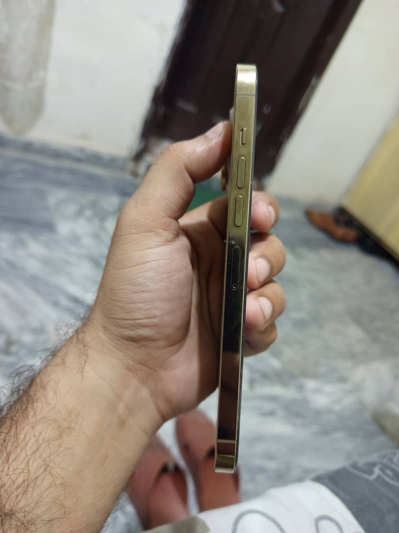 Apple iPhone 13 Pro Max 4