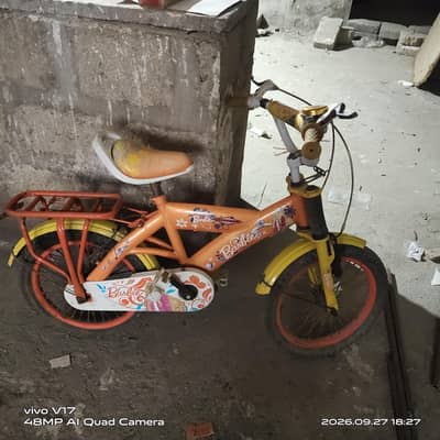 bicycle