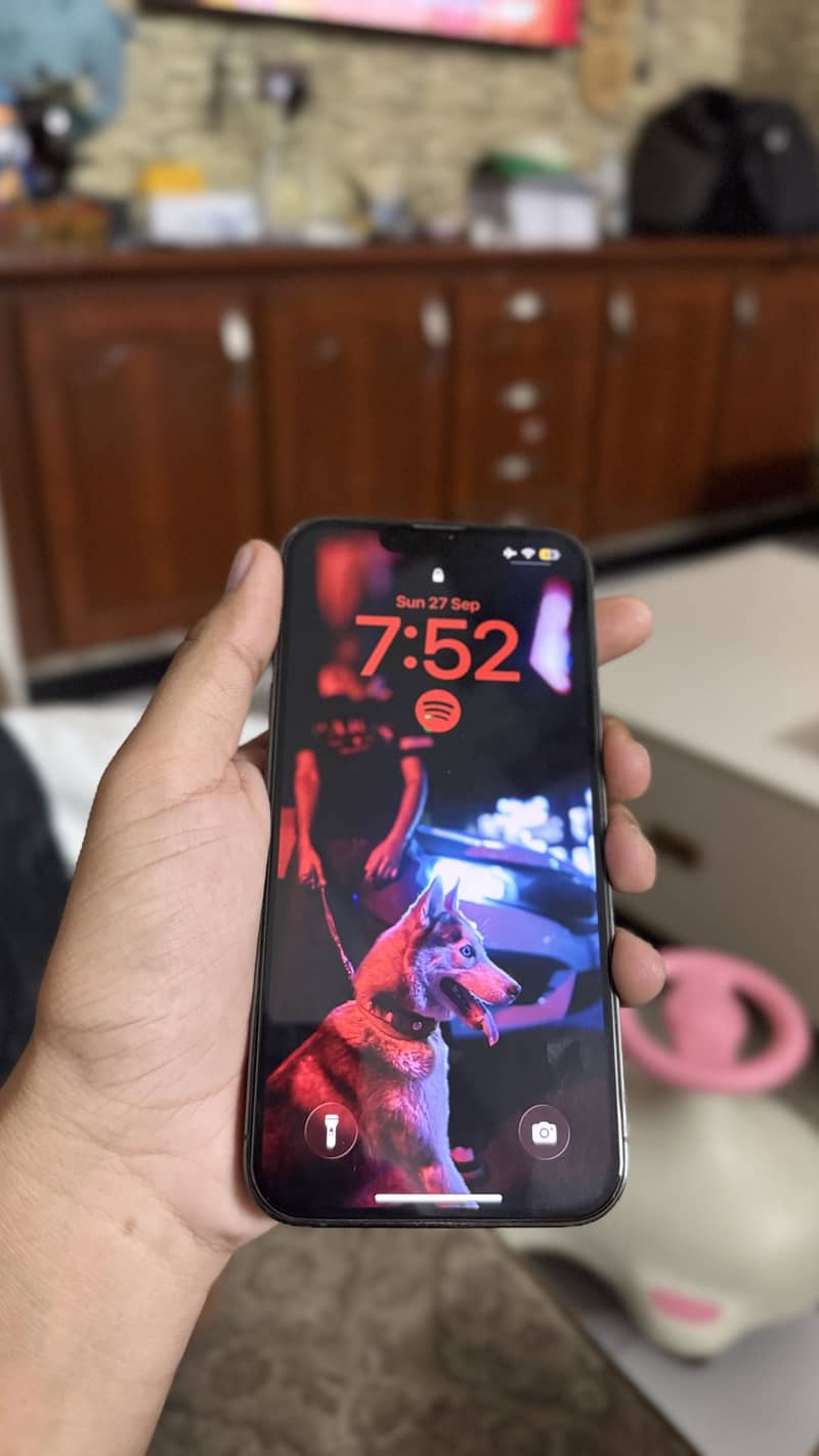 Apple iPhone 13 Pro 10
