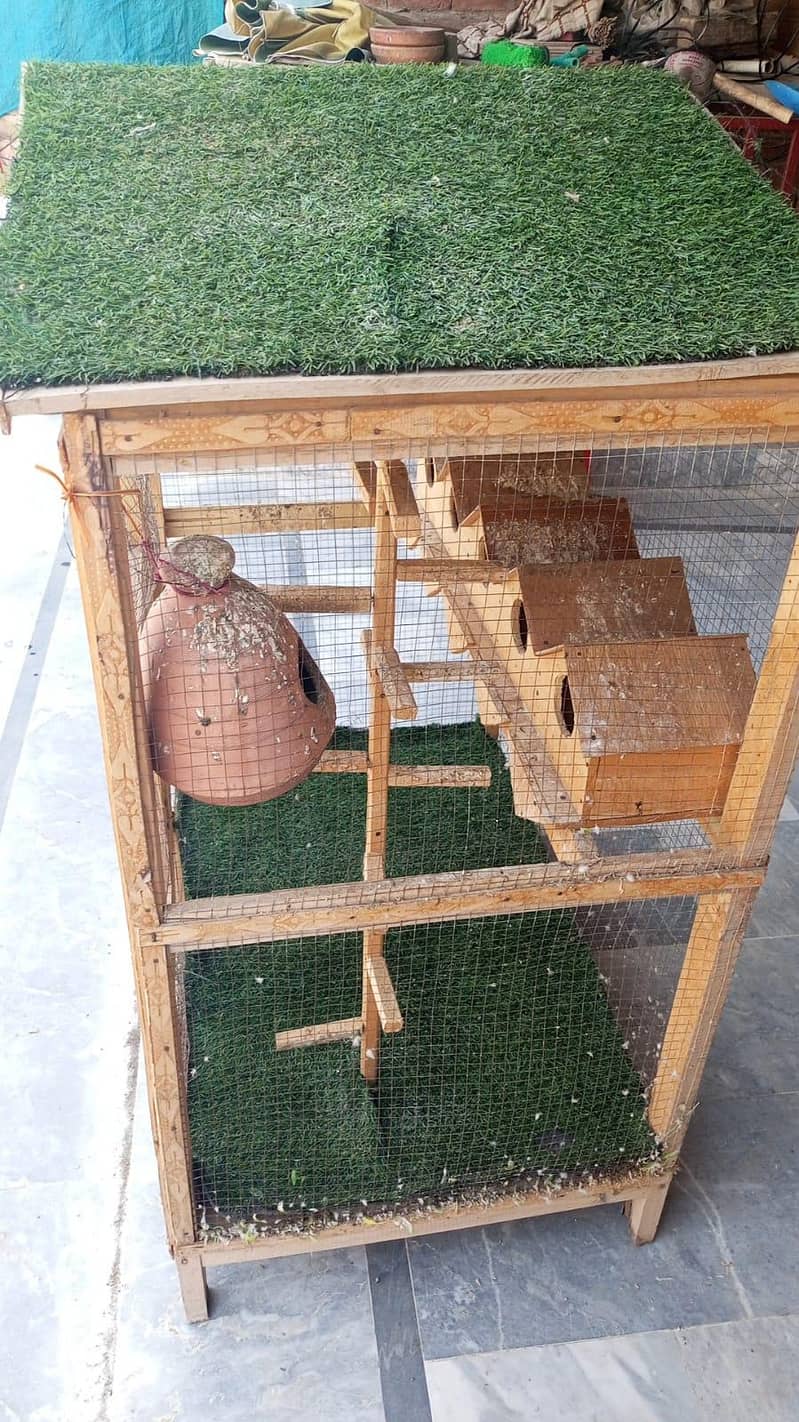 Bird cage 3