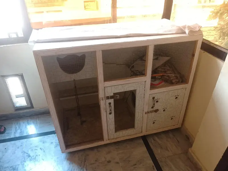 cat cage for sale 10/10 — photo 4