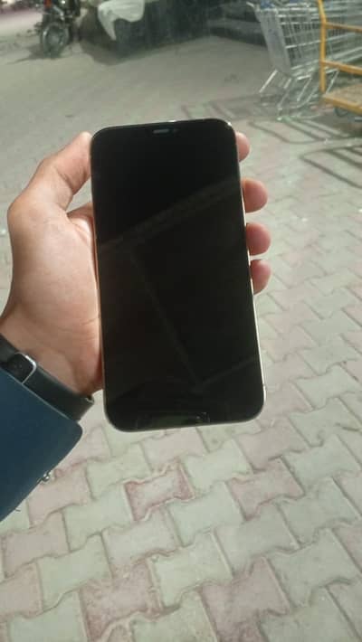 Apple iPhone 12 Pro Max