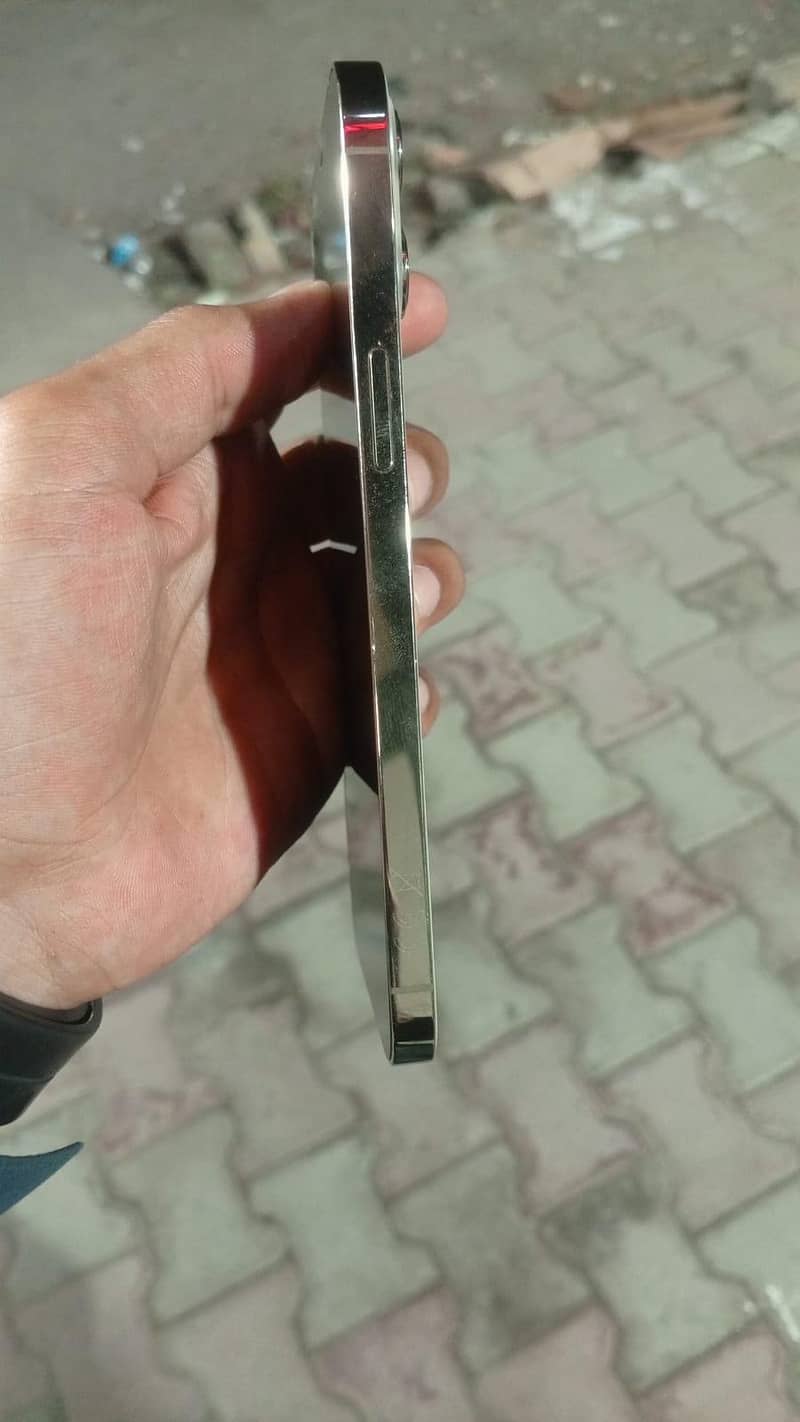 Apple iPhone 12 Pro Max 2