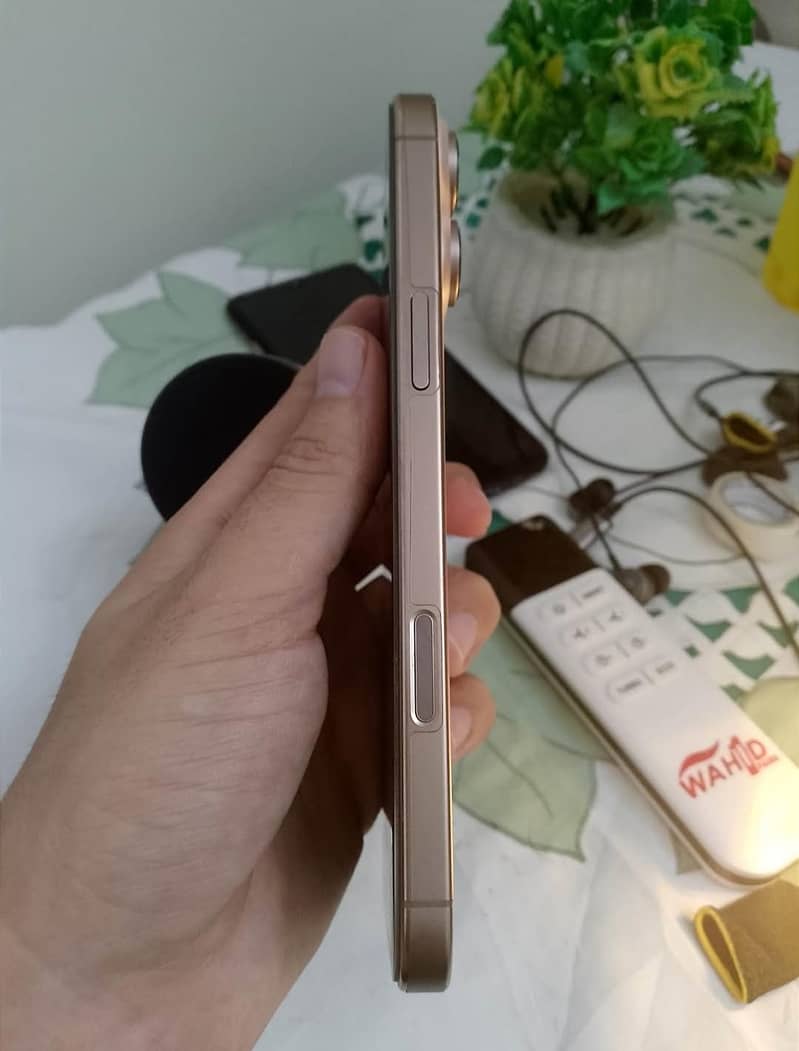 Apple iPhone 16 Pro Max 1