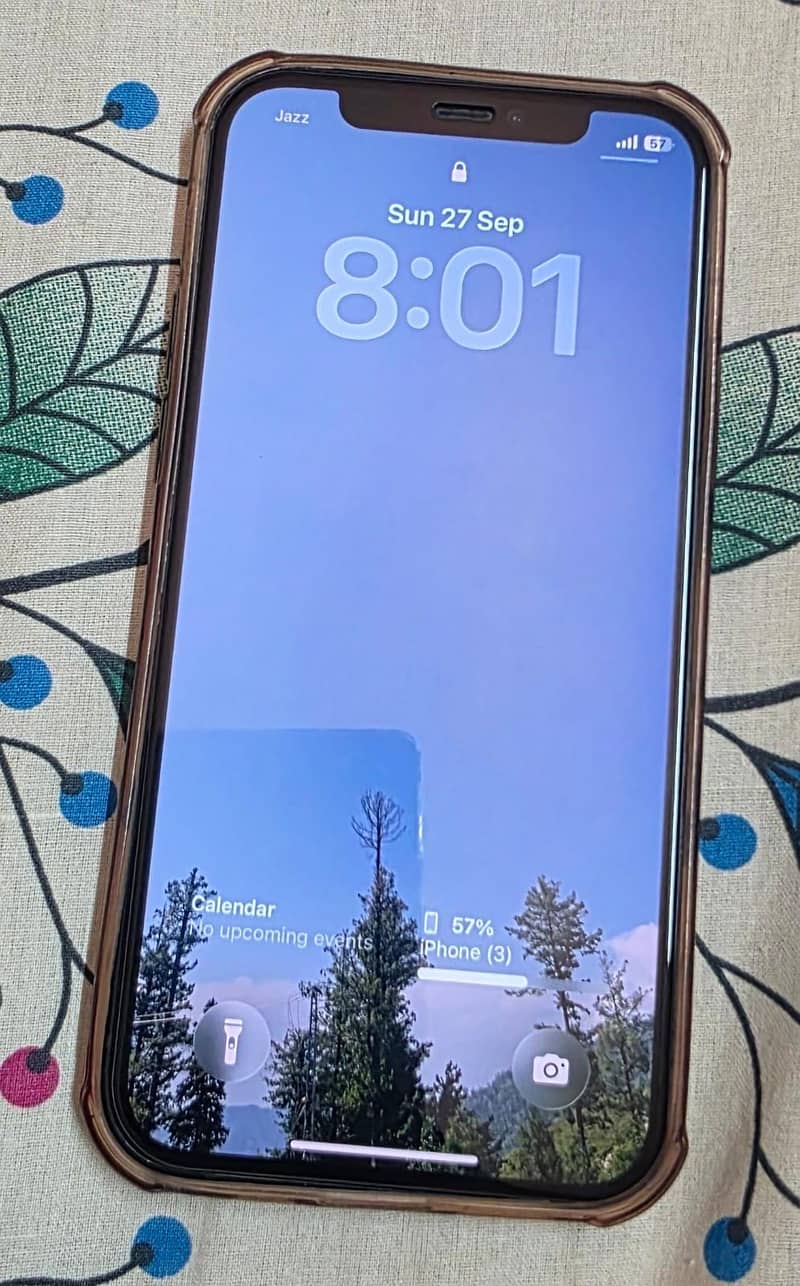 Apple iPhone 12 3