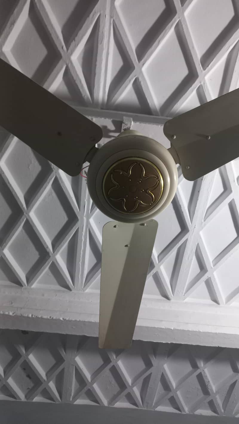 ceiling fan 1