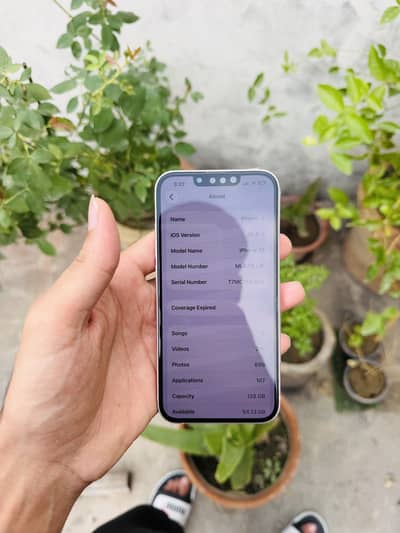 Apple iPhone 13
