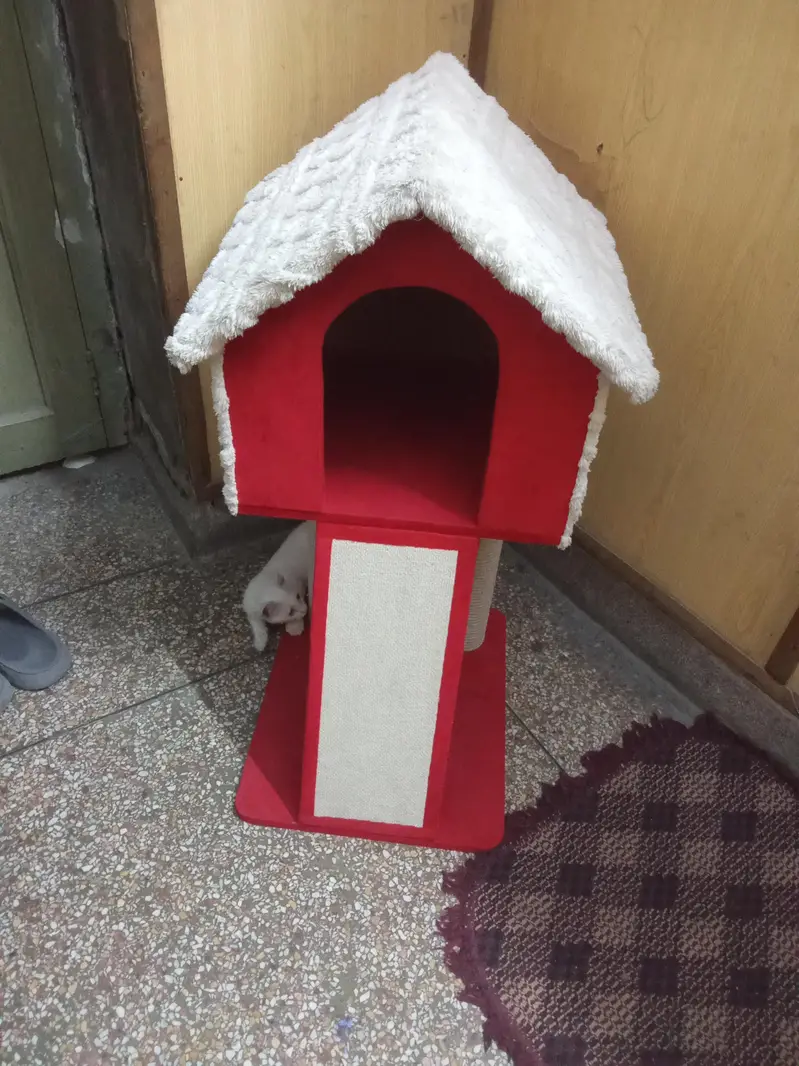 cat hous for sale. — photo 2
