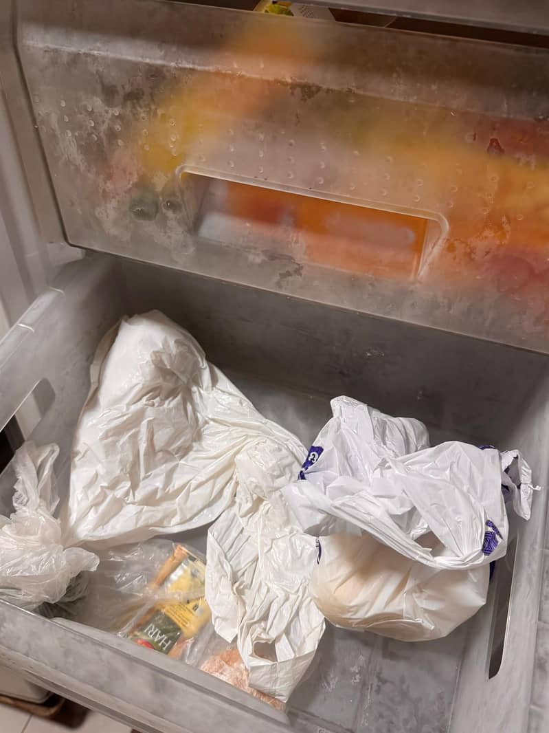 westpoint defreezer 1