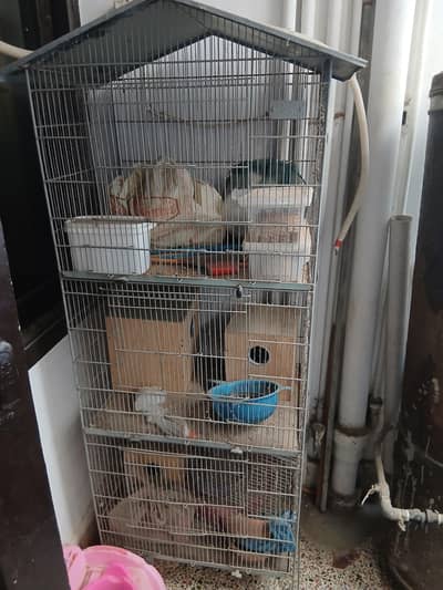 Cages & Cocktail