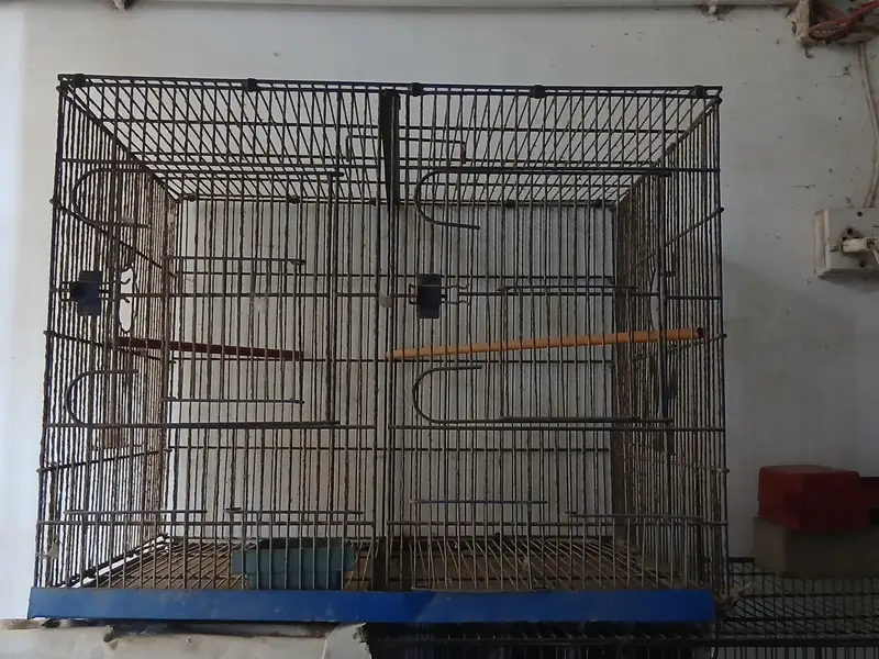 Cages & Cocktail — photo 2