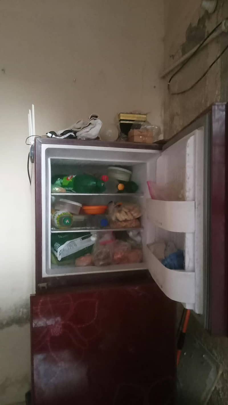 fridge 1