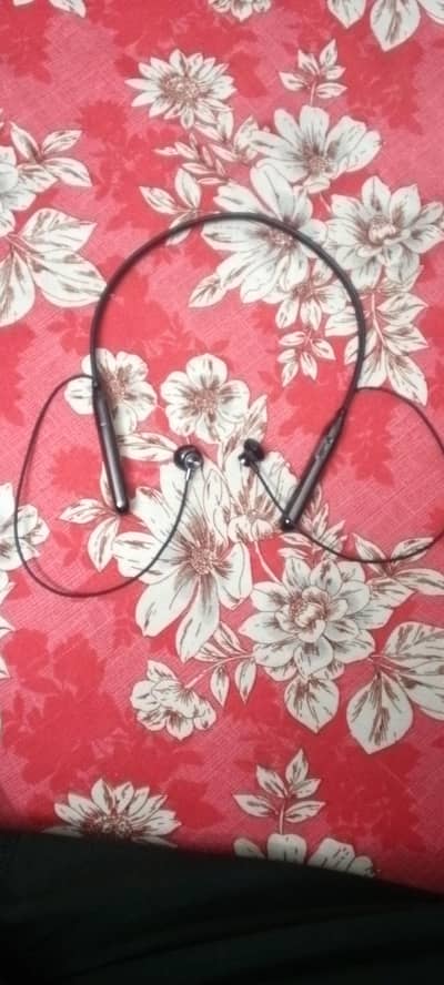 unique ear birds