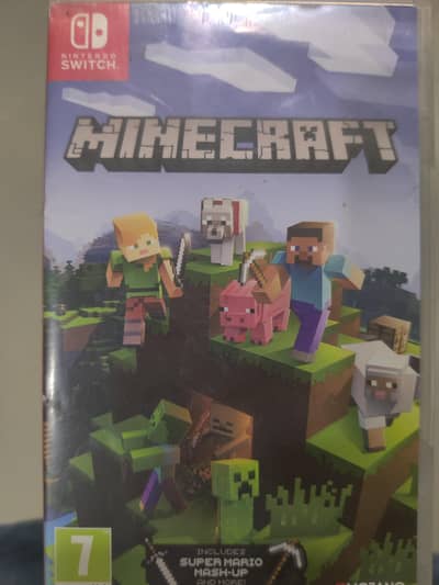 Minecraft Nintendo switch