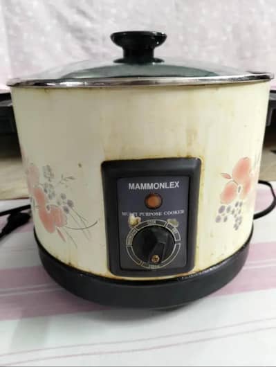 Deep Fryer Machine