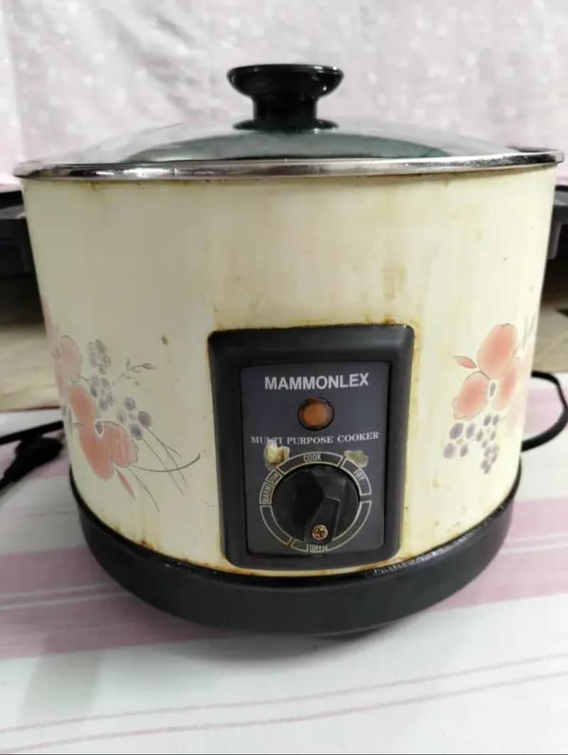 Deep Fryer Machine 0