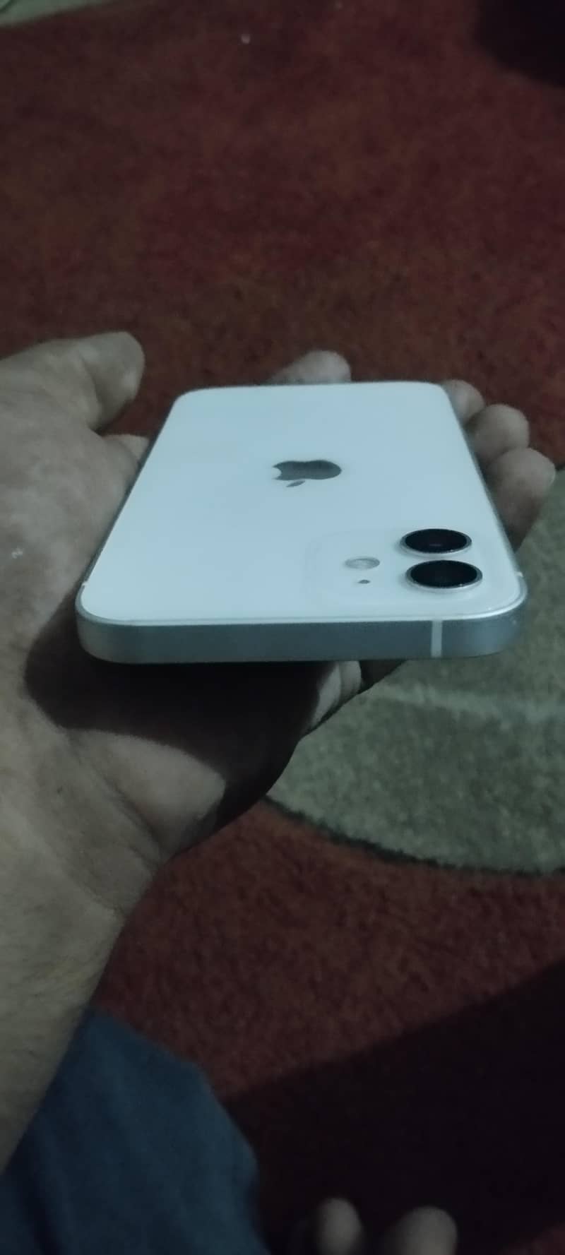 Apple iPhone 12 1