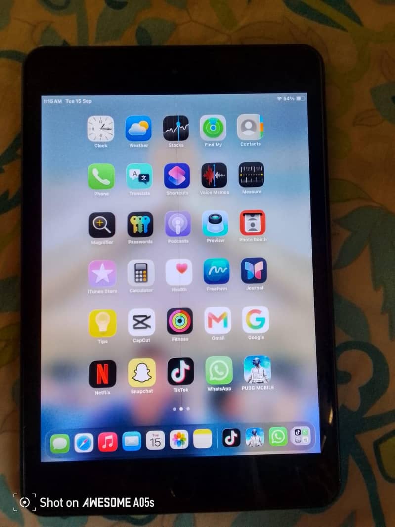 ipad mini 5 1