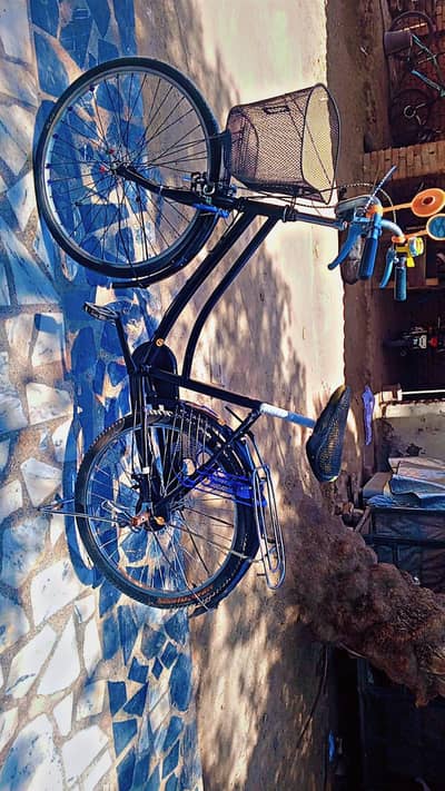 japani Cycle