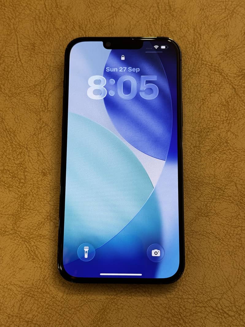 Apple iPhone 13 Pro Max 1