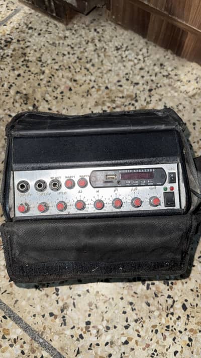 iran amplifier with eco and 2 portable mics