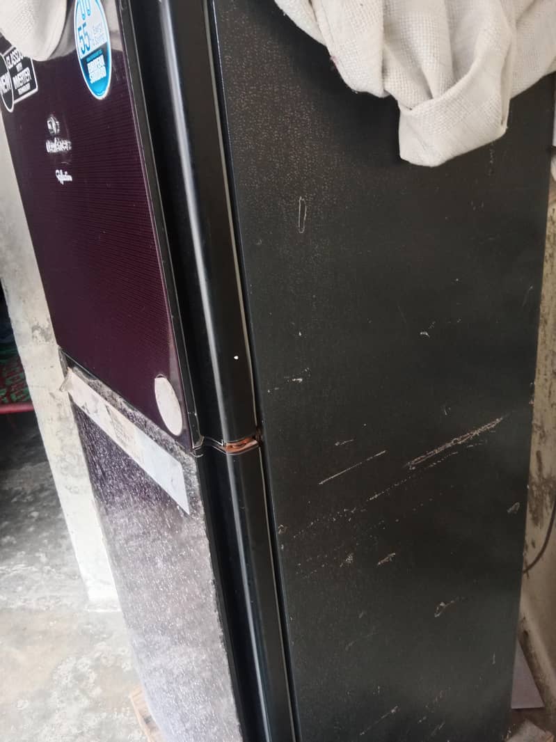 medium size fridge 9