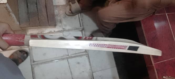 SG Hard Ball Cricket Bat – Brand New