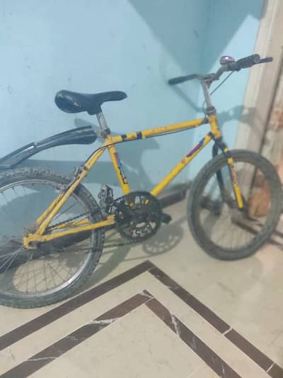 Bicycle 24 number