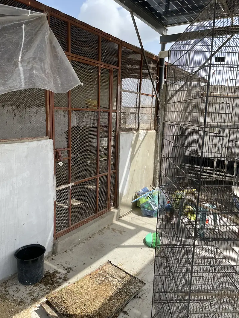 Used cages different size — photo 7