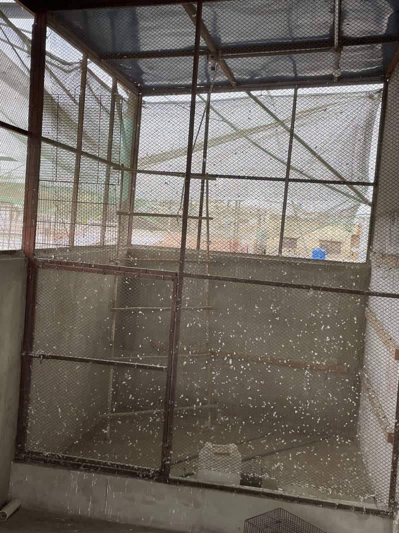 Used cages different size 8