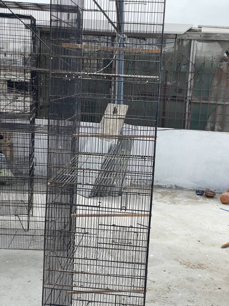 Used cages different size 10
