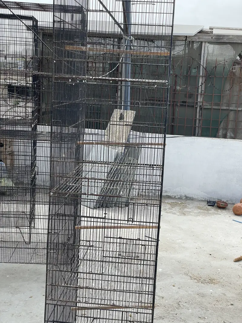 Used cages different size — photo 11