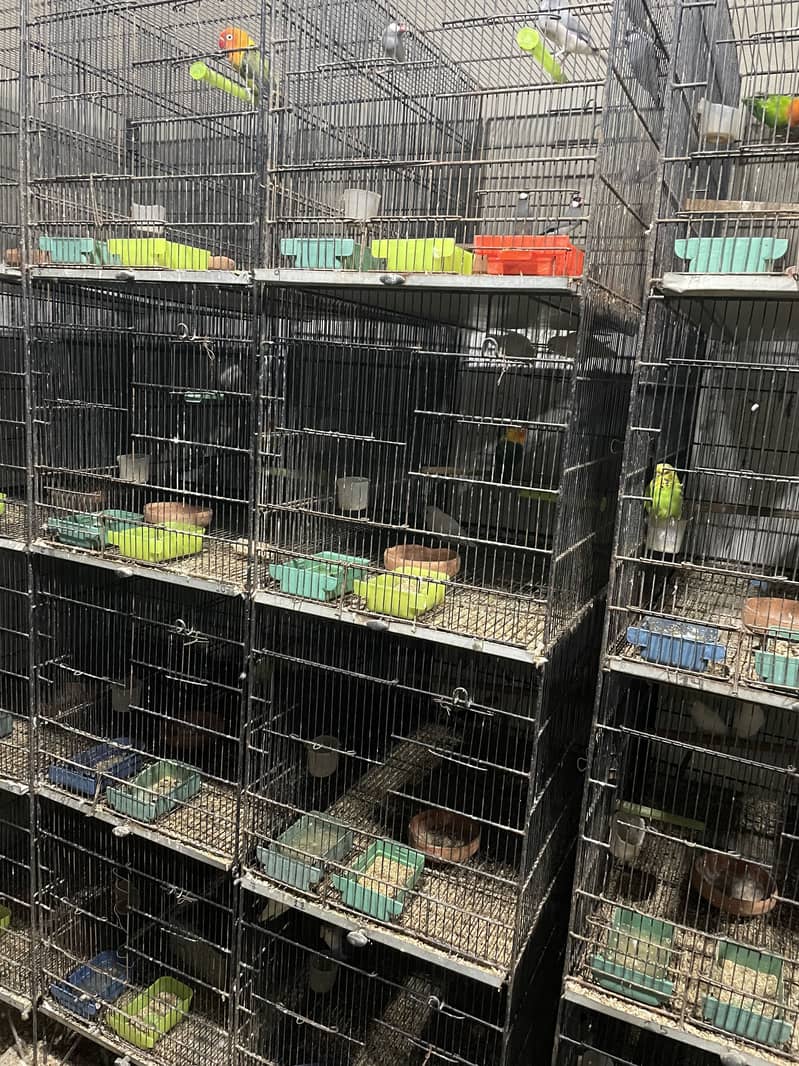 Used cages different size 11