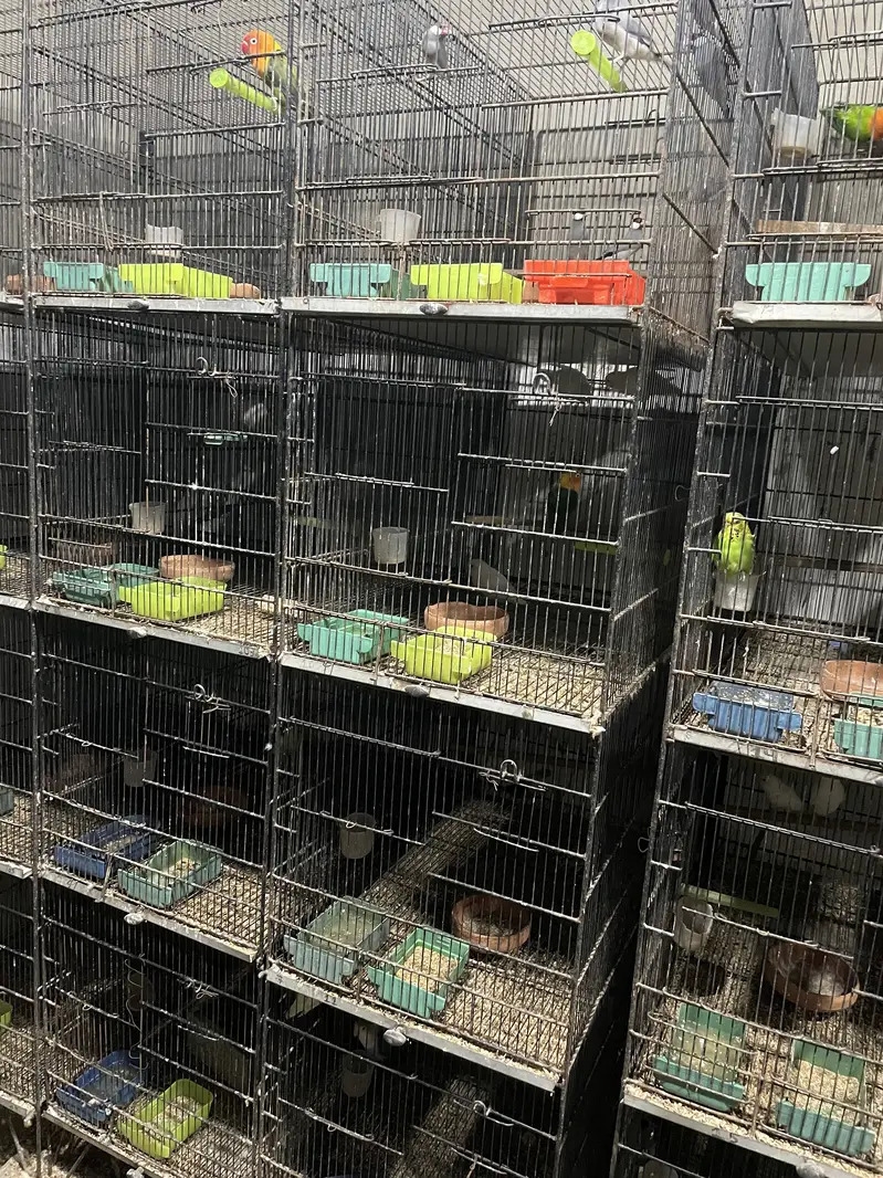 Used cages different size — photo 12