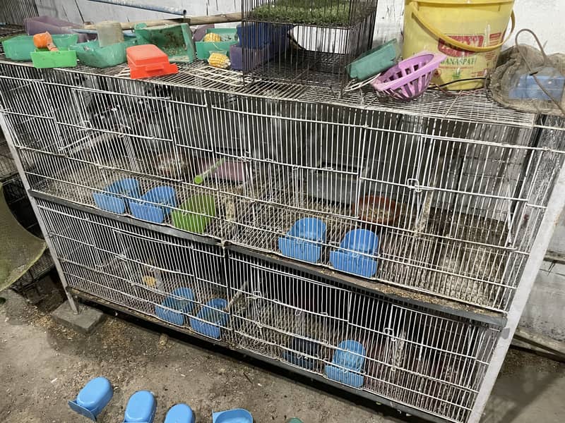Used cages different size 12