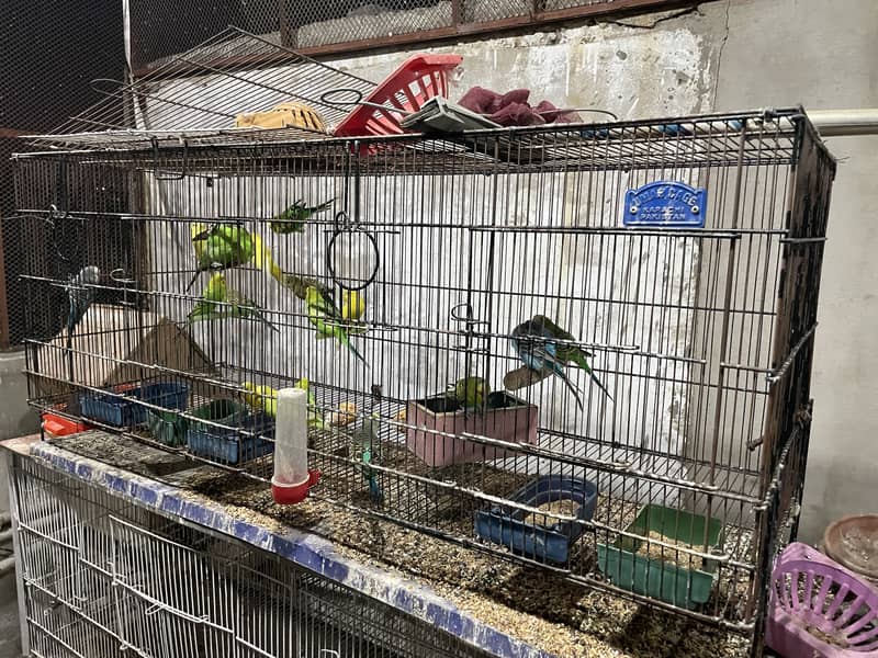 Used cages different size 15
