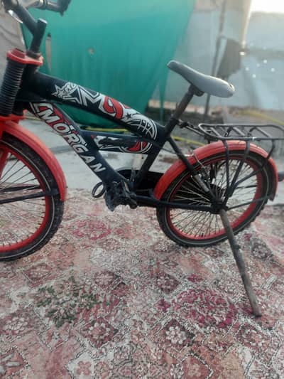 5 to 12 year boy cycle