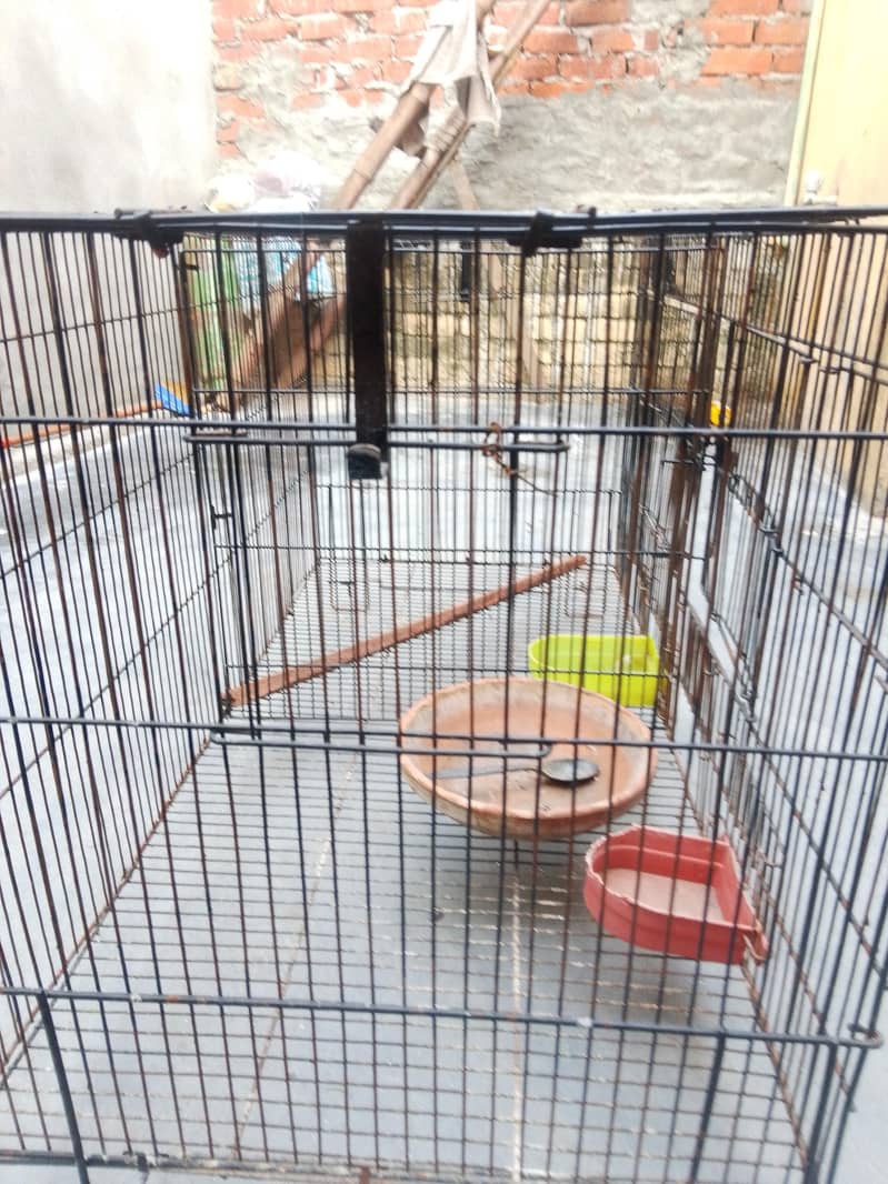 cages 1
