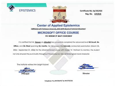 MS Office Expert - Excel & Word - Grade A Certified