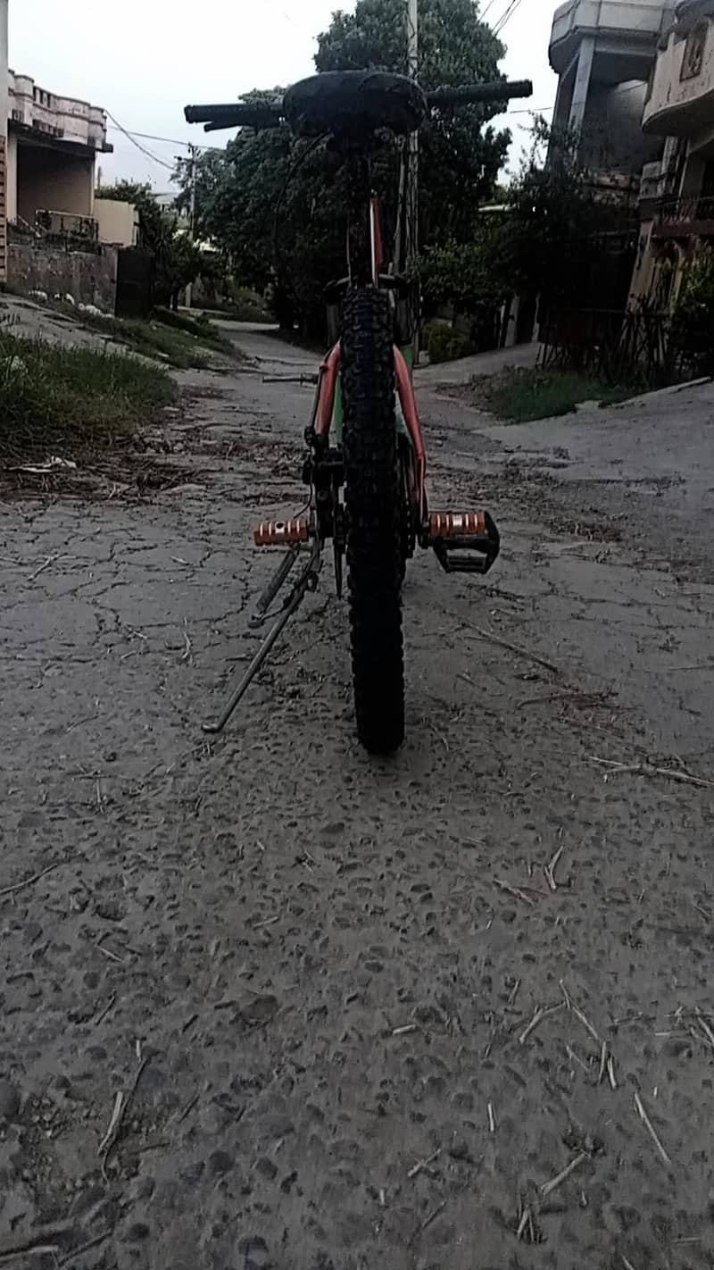 mountain cycle 2