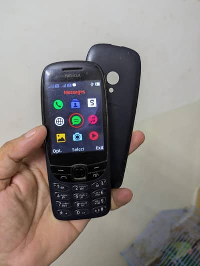 Nokia 6310