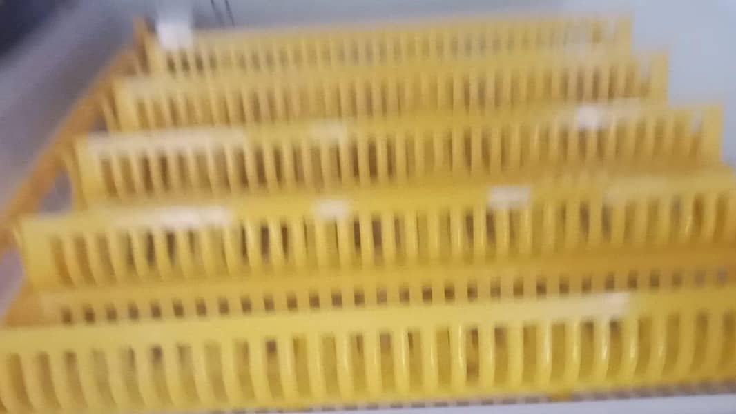 imported fully automatic incubator 0